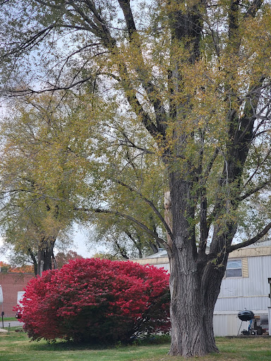 Plaza Acres Mobile Home Park - Thumbnail