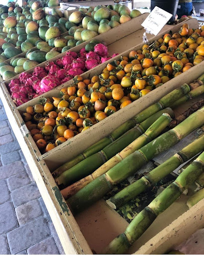 FruitScapes LLC - Visual
