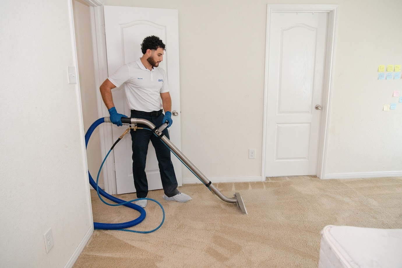 Better Than Ever Carpet Care