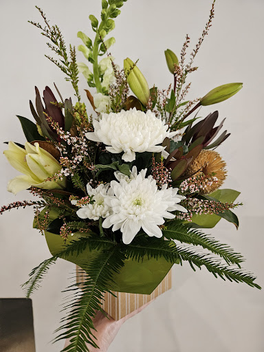 This'll Do Nicely - Florist, Indoor Plants & Gift Shop Tweed Heads Gallery - Australia