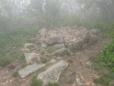 Photos of 금대봉