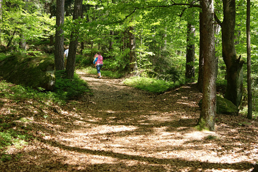Wackelstein - Visual