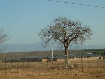 Photos of Zandspruit Bush & Aero Estate