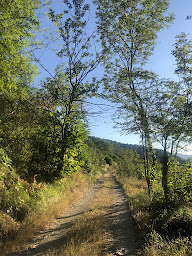 Photo n°11 de Gîte de la Placette à Aumessas (Maison de vacances)