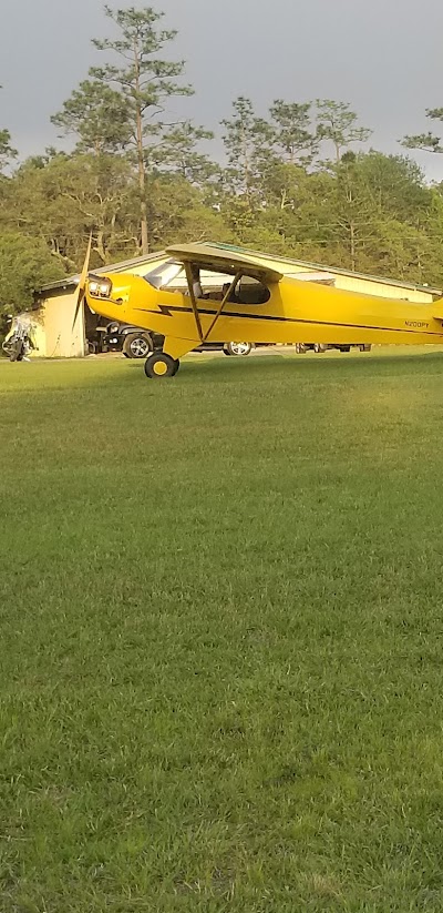 Shade Tree Field-MS82