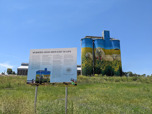 Merriwa Silo Art - Thumbnail