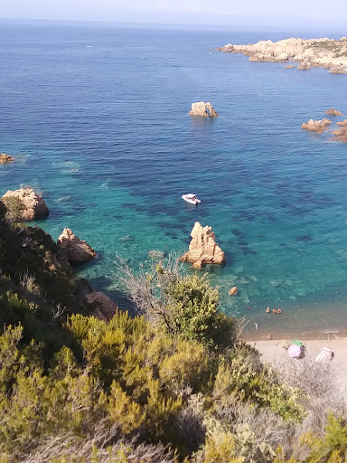 Tinnari - Visual