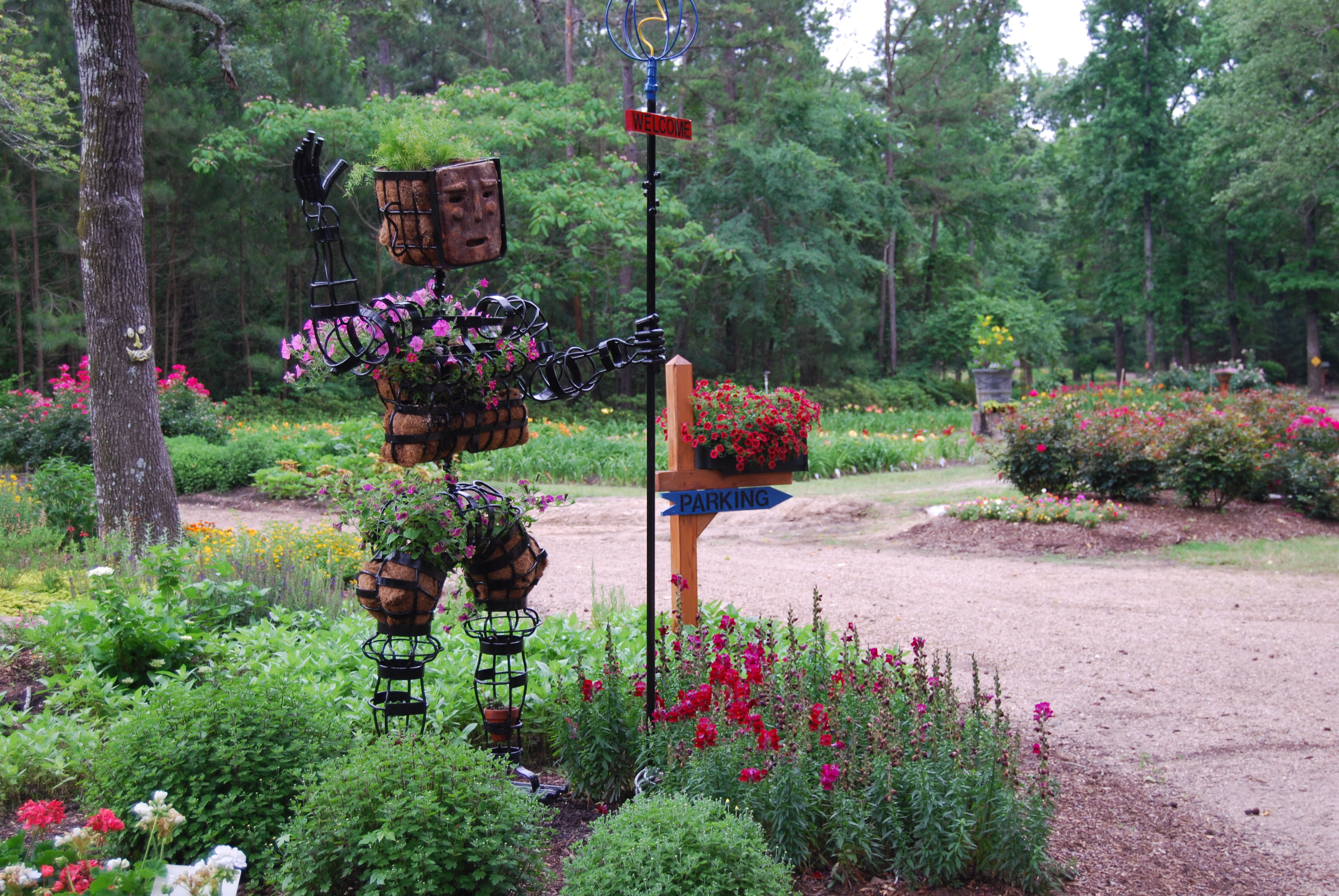 Glenda Mae's Daylily Farm