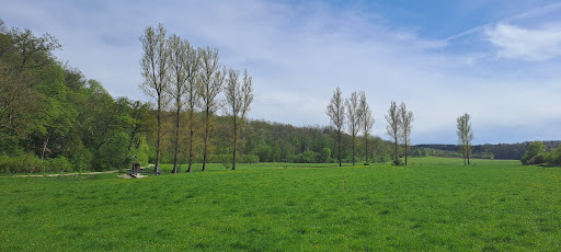 Wanderparkplatz Ruine Kaltenburg - Thumbnail