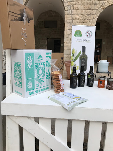 Olio MonteFedele - Visual