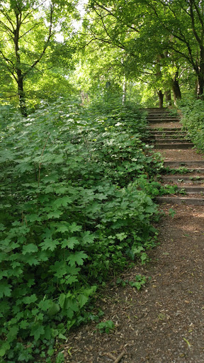 Kavelberg - Visual