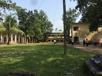 school