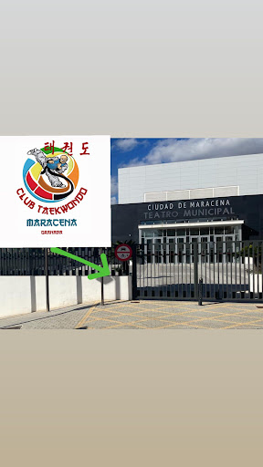 Escuela de Taekwondo Maracena - Thumbnail