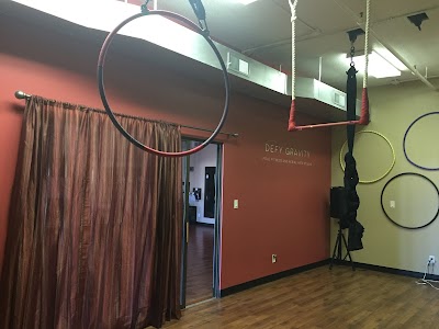 Defy Gravity - Pole Fitness and Aerial Arts Studio