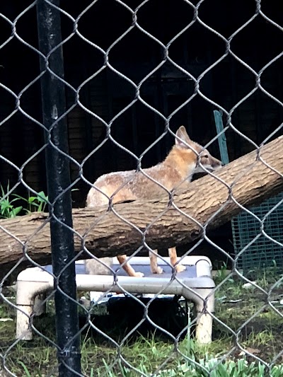 Brandywine Zoo Parking