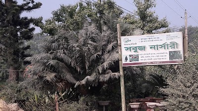 Photos of Sabuj Nursery