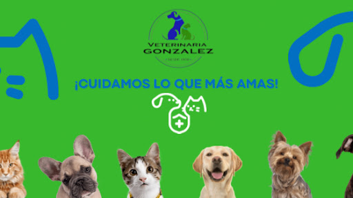 Veterinaria Y Estetica Canina González