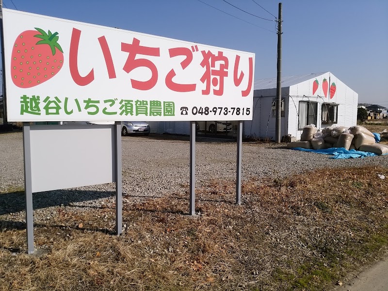 越谷いちご須賀農園