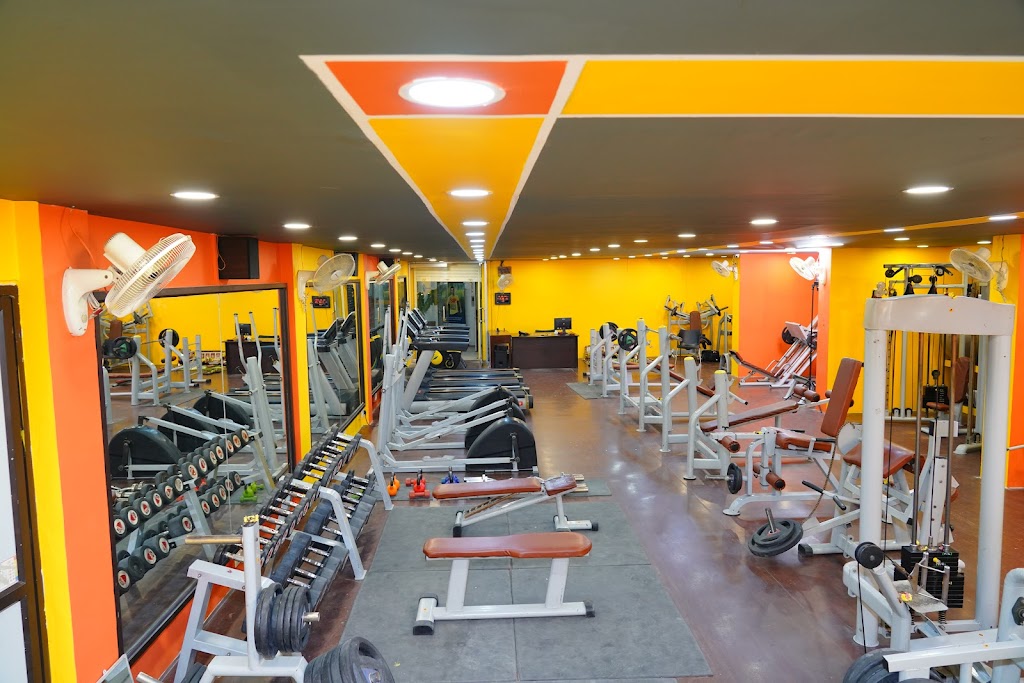 The Absolute Fitness 1