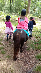 Photo n°28 de Les écuyers du château Manou à Manou (Centre de randonnée équestre)