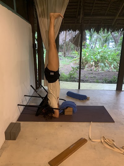 Iyengar Yoga koh phangan photo 5