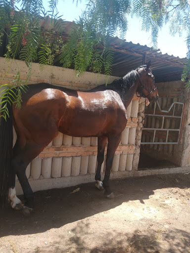 Caballerizas la 30 Gallery - Mexico