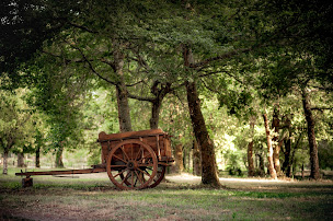 Photo n°27 de Ranch Amadeus à Saint-Paul-en-Born (Séminaire)