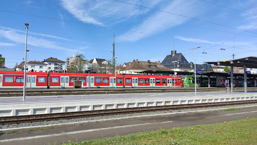 Friedberg - Visual
