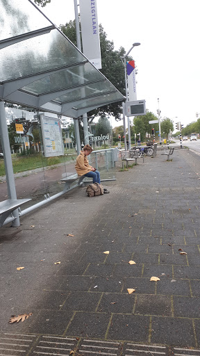 Breda, Tuinzigtlaan - Thumbnail