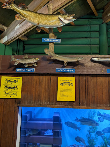 Exploratory Park - Visual