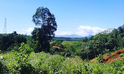 Photos of Pasar Seluas Kabupaten Bengkayang
