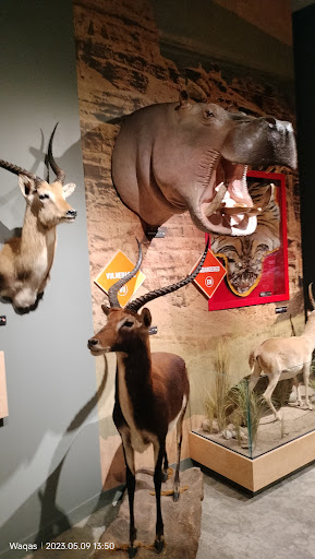 Red River Valley Museum - Thumbnail