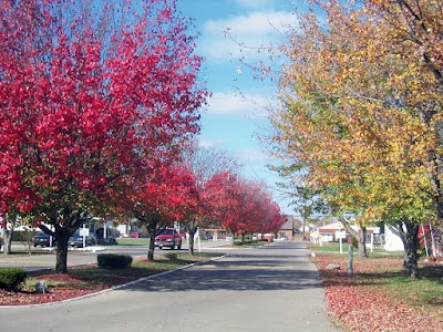 Gettysburg Estates