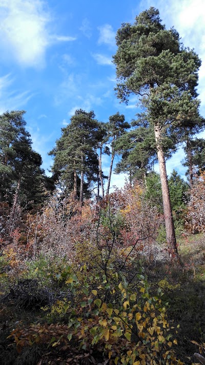 Bois de la Tour e area picnic