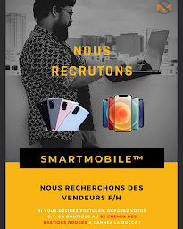 Photo n°25 de Smart Mobile Mandelieu ( Réparation Téléphone Tablette Ordinateur Écran Batterie ) à Mandelieu-la-Napoule (Magasin de jouets)