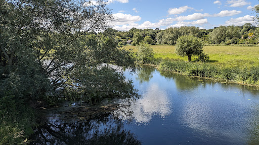The Gainsborough Trail: Meadow Walk