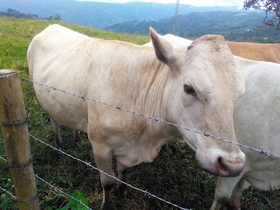 Photos of Ecotecnol&oacute;gico Park