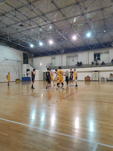 Palestra Bottegone