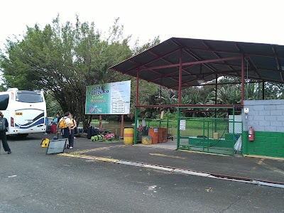 gas-station