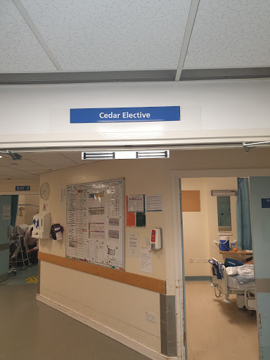 Cedar Ward - Thumbnail