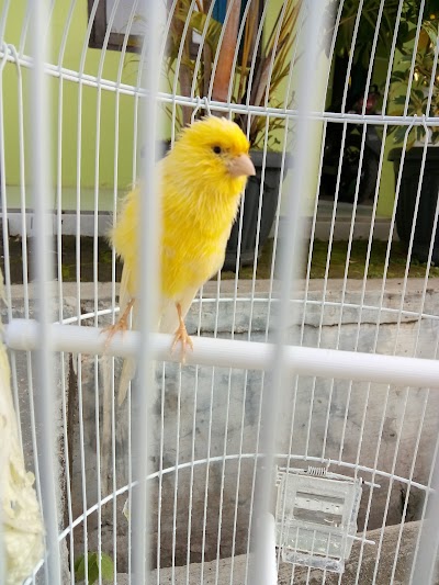 Photos of TPU Pekuncen
