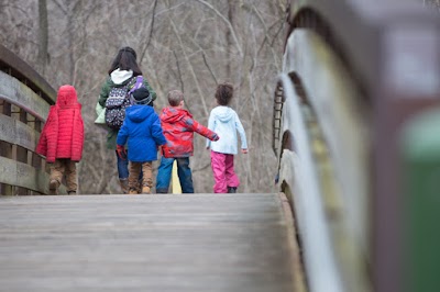 The Waldorf School of St. Louis