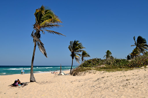 Playas del este - Visual