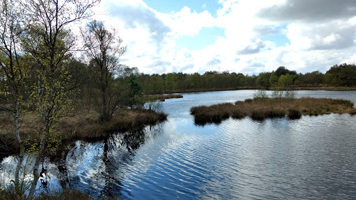 Bockhorner Moor - Thumbnail