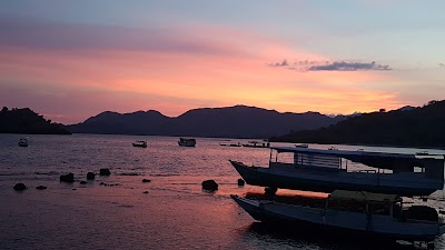 Photos of Komodo Souvenir