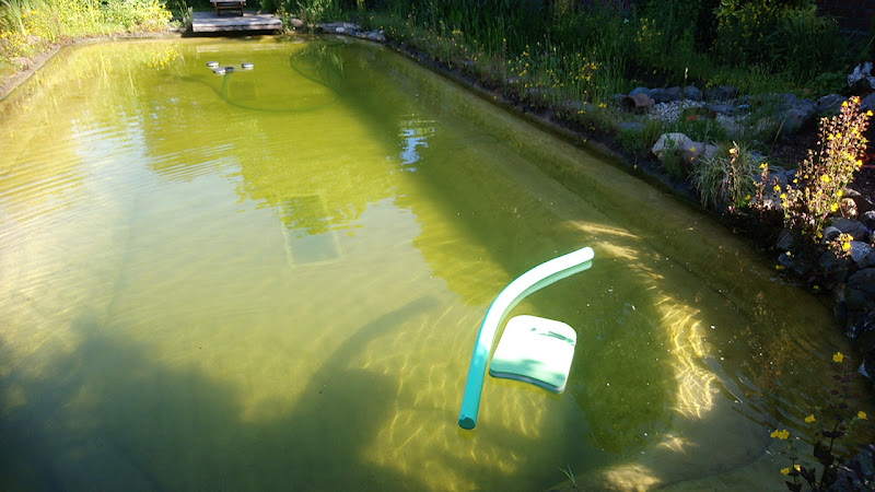 Susanne´s gym 4 you