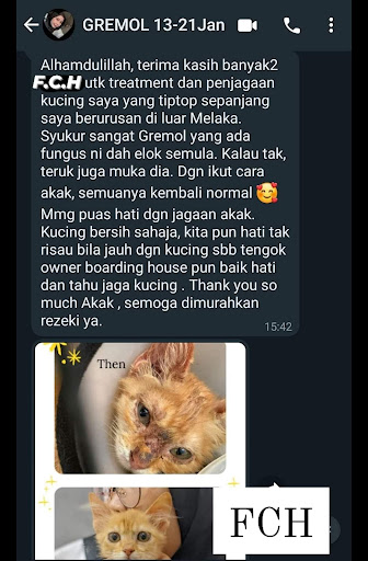 FAMILY CAT HOUSE