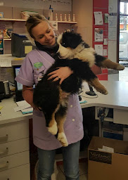 Photo n°23 de Clinique vétérinaire du Cormier à Saint-Aubin-du-Cormier (Clinique vétérinaire)