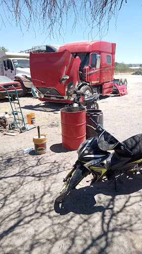 Auto electrico diego