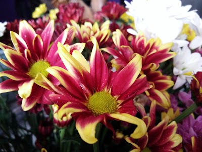 Photos of Sridara Florist 2